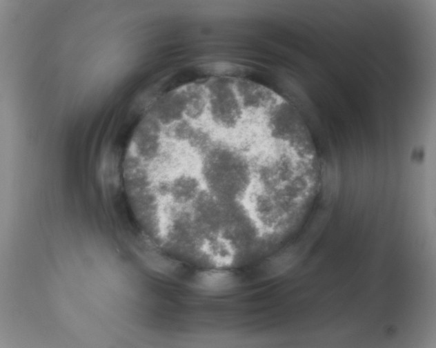 X0000113220189200910221133