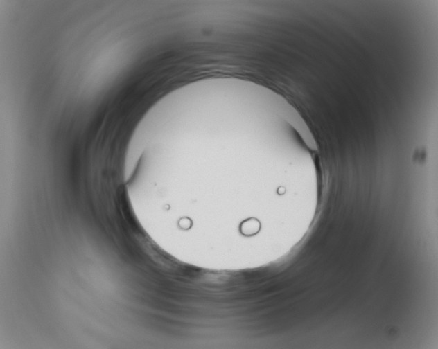 X0000113220190200910221133