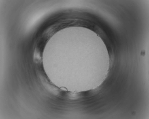 X0000113220191200910221133