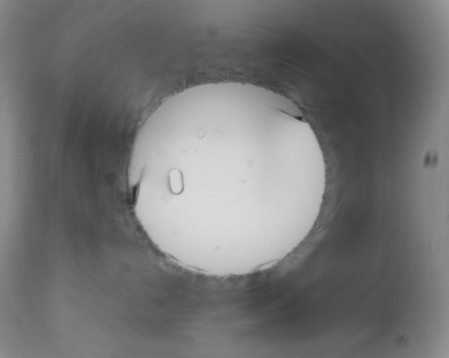 X0000113220192200910221133