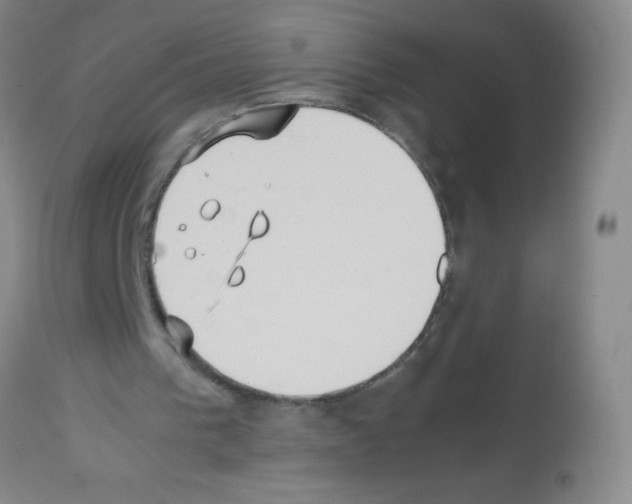 X0000113220193200910221132