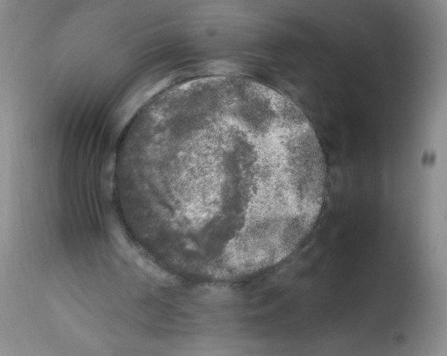 X0000113220194200910221132