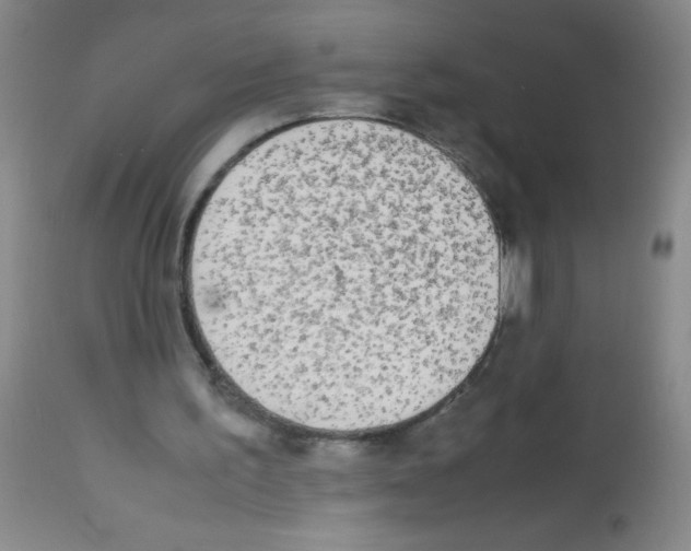X0000113220195200910221132