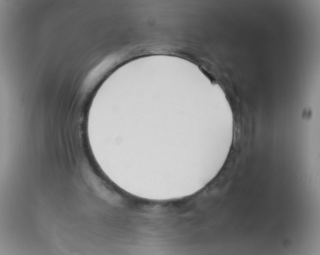 X0000113220197200910221132
