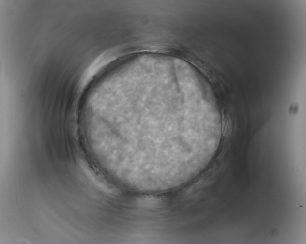 X0000113220198200910221132