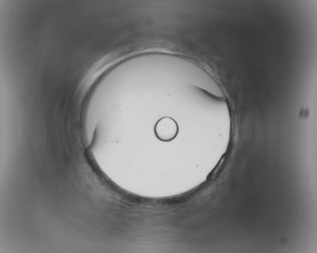 X0000113220199200910221132