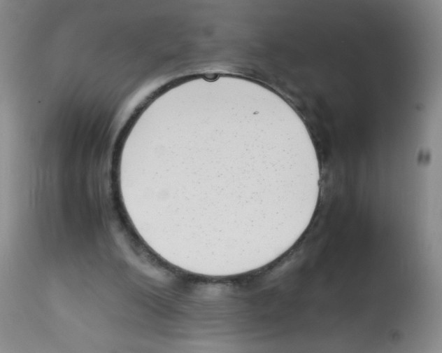 X0000113220200200910221132