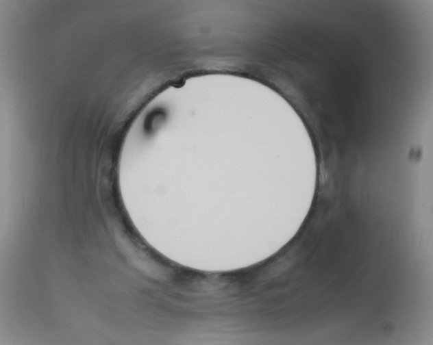 X0000113220201200910221132