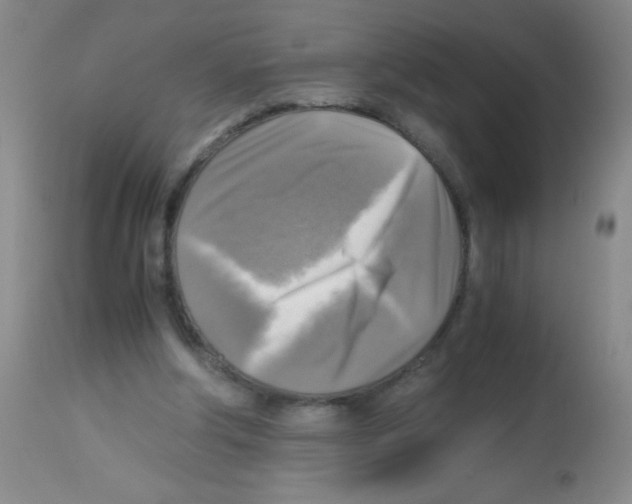 X0000113220202200910221132
