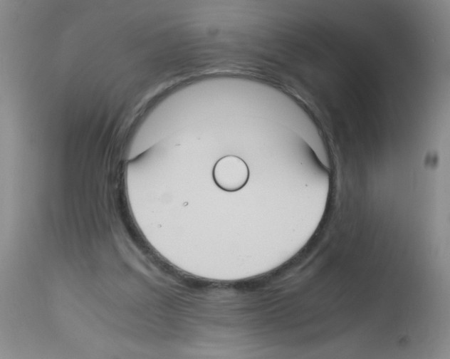 X0000113220203200910221132