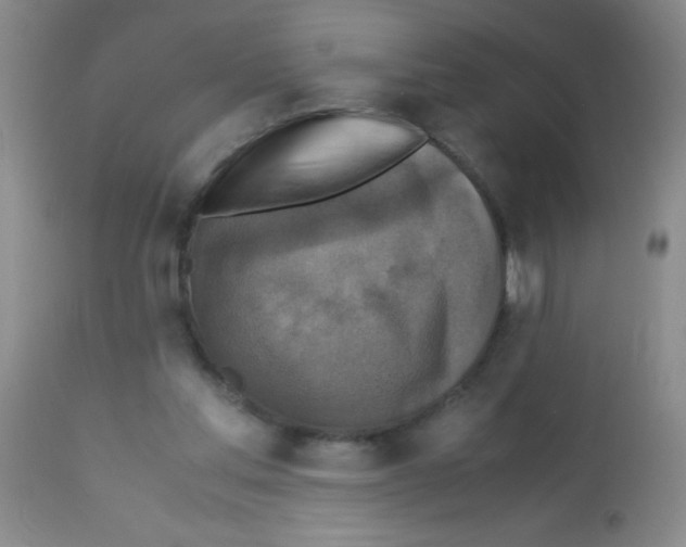 X0000113220205200910221132