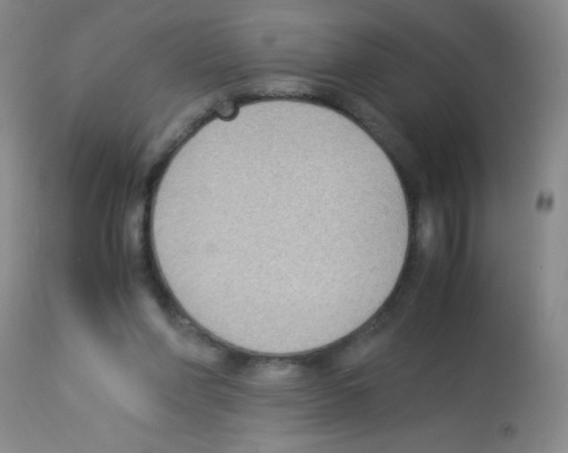 X0000113220206200910221132