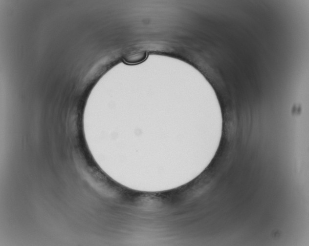 X0000113220207200910221132