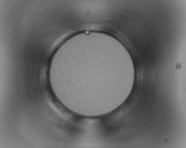 X0000113220208200910221132
