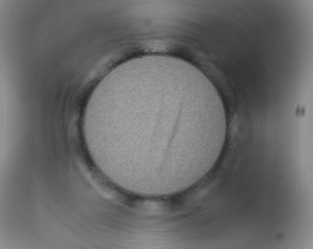 X0000113220209200910221132