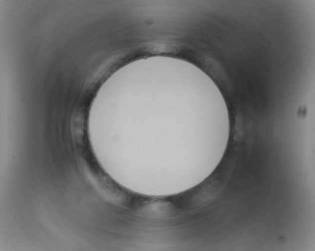 X0000113220210200910221132