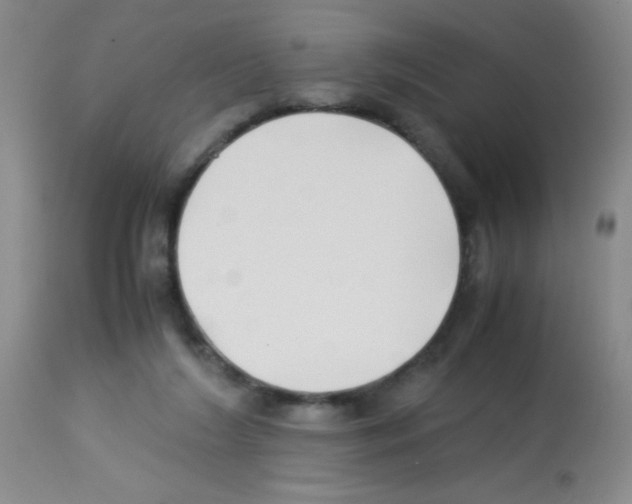 X0000113220212200910221132