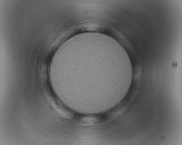 X0000113220213200910221132