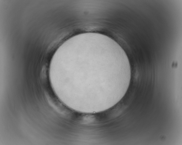 X0000113220214200910221132