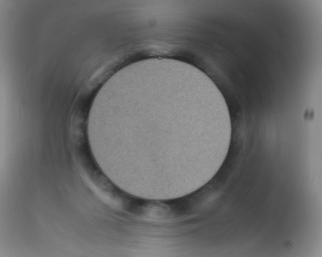 X0000113220215200910221132