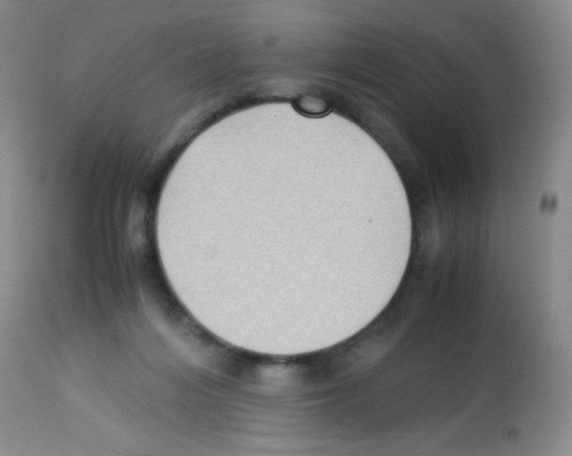 X0000113220216200910221132