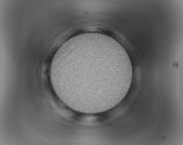 X0000113220217200910221132