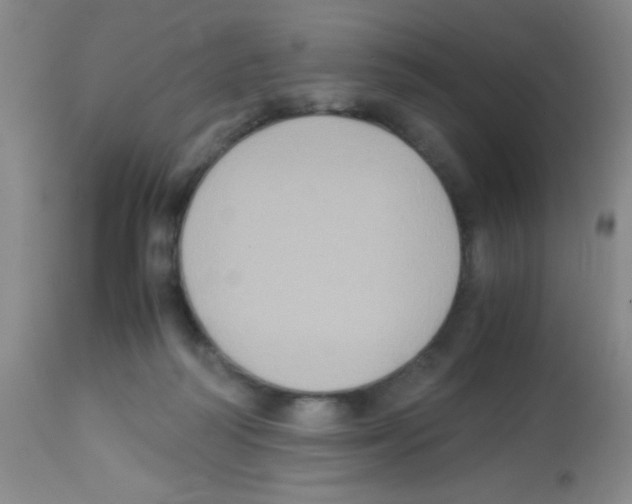 X0000113220218200910221132