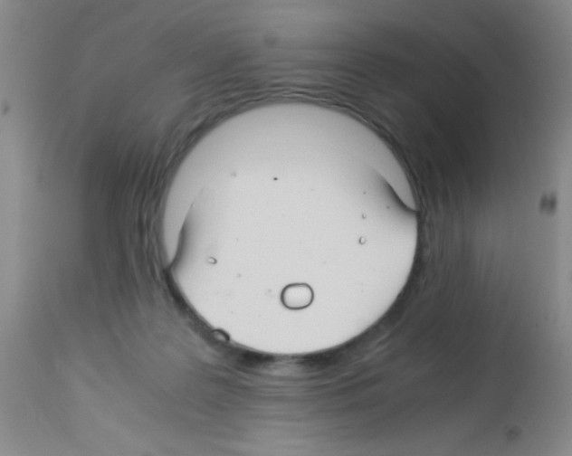 X0000113220219200910221132