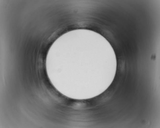 X0000113220220200910221132