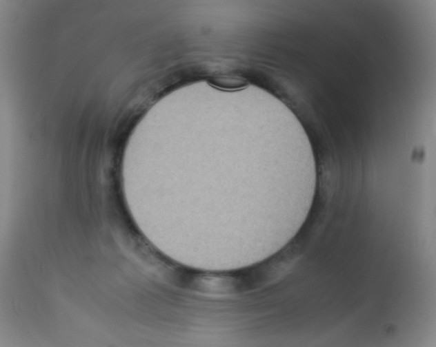 X0000113220221200910221132