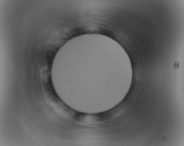 X0000113220223200910221132