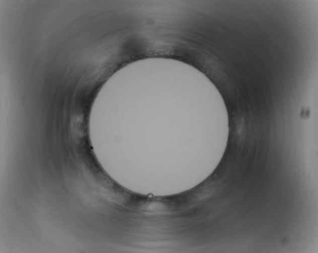 X0000113220224200910221132