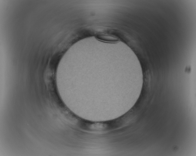X0000113220225200910221132