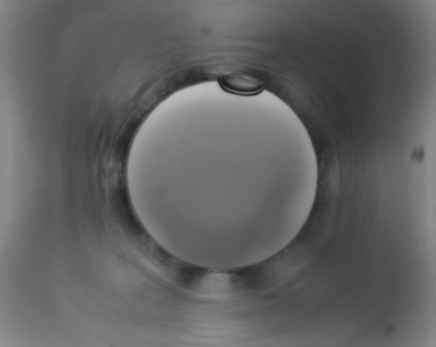 X0000113220227200910221132