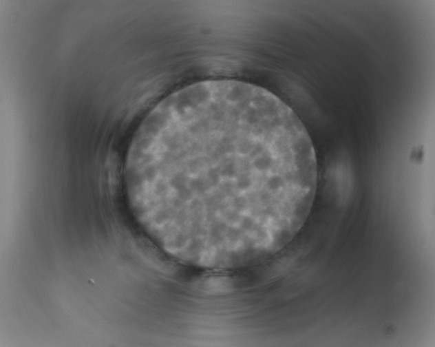 X0000113220228200910221131