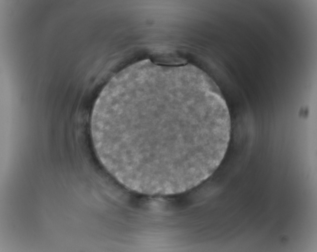 X0000113220229200910221131