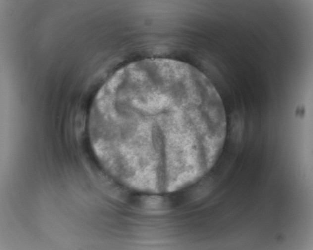 X0000113220230200910221131