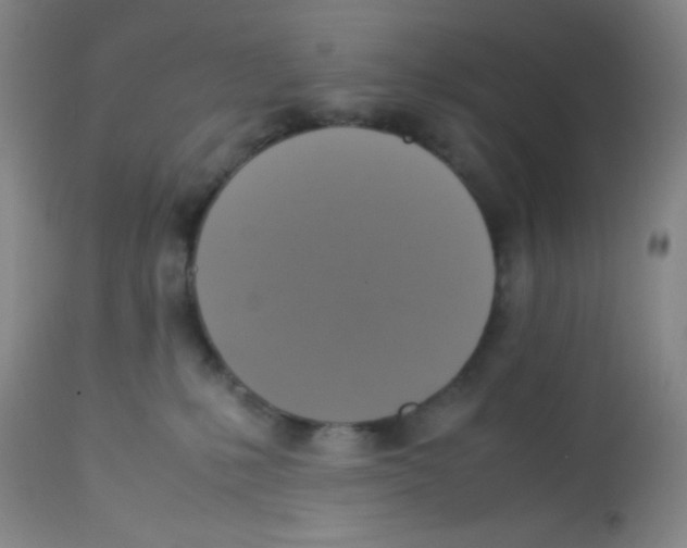 X0000113220231200910221131
