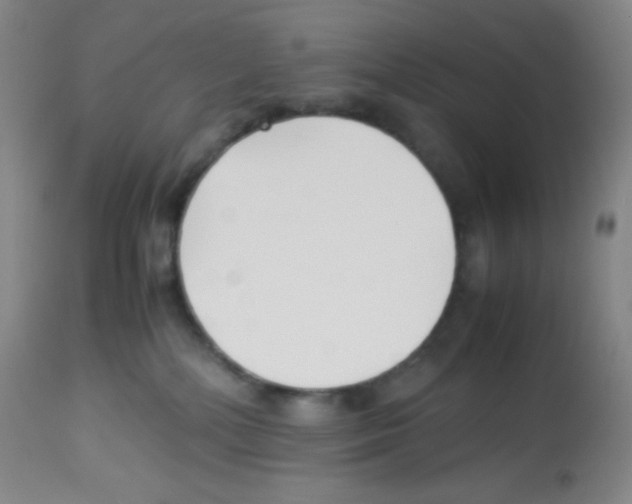 X0000113220232200910221131
