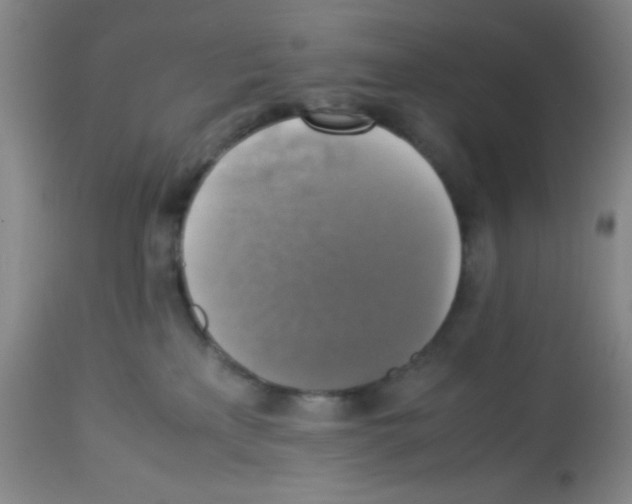 X0000113220233200910221131