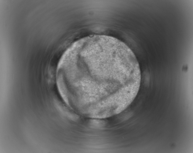 X0000113220234200910221131