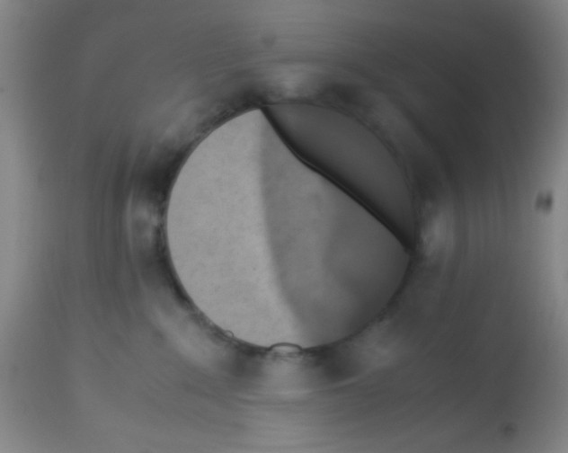 X0000113220235200910221131