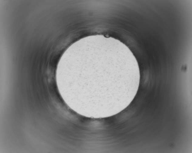 X0000113220236200910221131