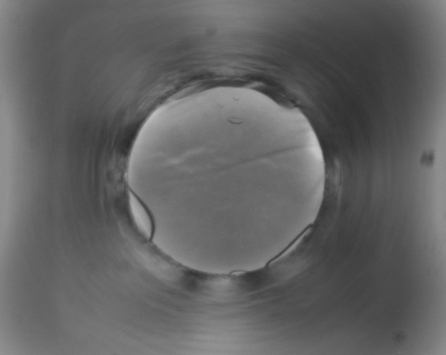 X0000113220237200910221131