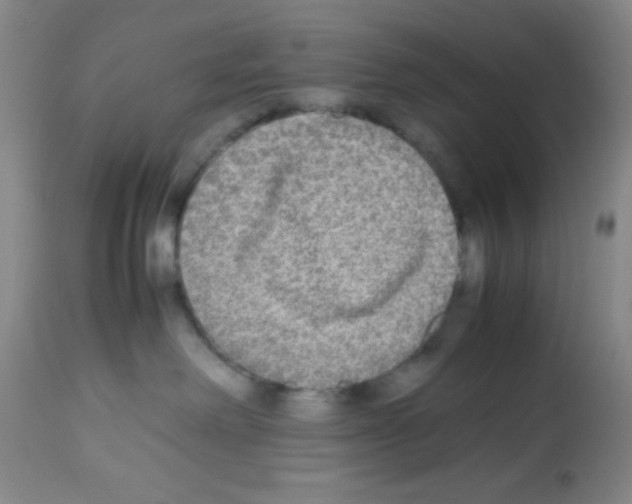 X0000113220238200910221131