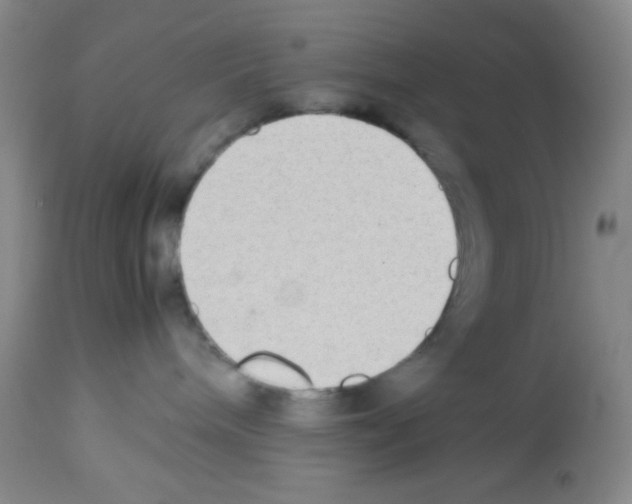 X0000113220240200910221131