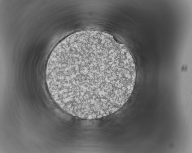 X0000113220241200910221131
