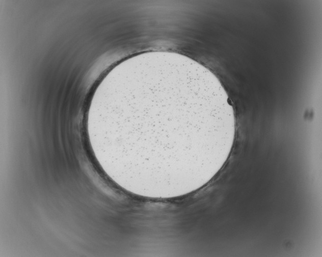 X0000113220242200910221131