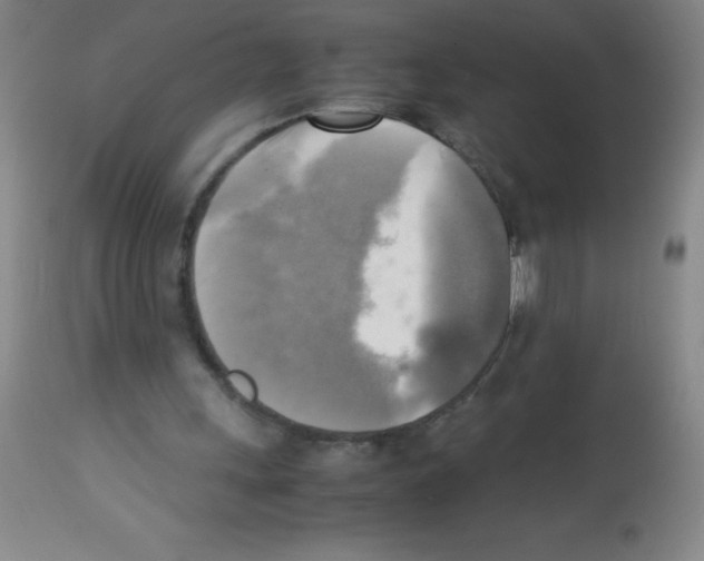 X0000113220243200910221131