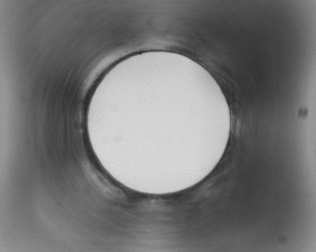 X0000113220244200910221131